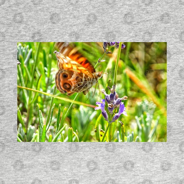 Garden pollination by Photography_fan